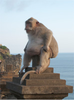 �o���؍ݓ��L