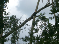 �o���؍ݓ��L