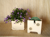 �ŋ߂̌W����