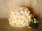 �ŋ߂̌W����