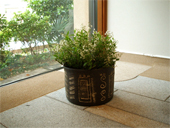 �ŋ߂̌W����